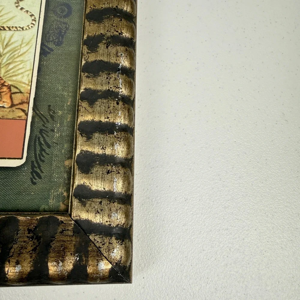 Vintage Tiger Stamp Collage Framed Art Safari Global World Travel Wall‎ Decor